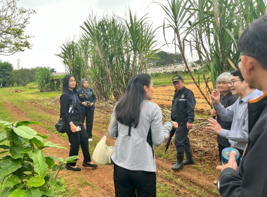 ร่วมสังเกตการณ์ คณะกรมสหกรณ์และพัฒนาชนบทเมียนมาร์ ... พารามิเตอร์รูปภาพ 43